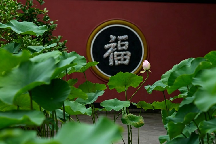 Famen Temple: Discovering the Royal Buddhist Heritage of the Tang Dynasty