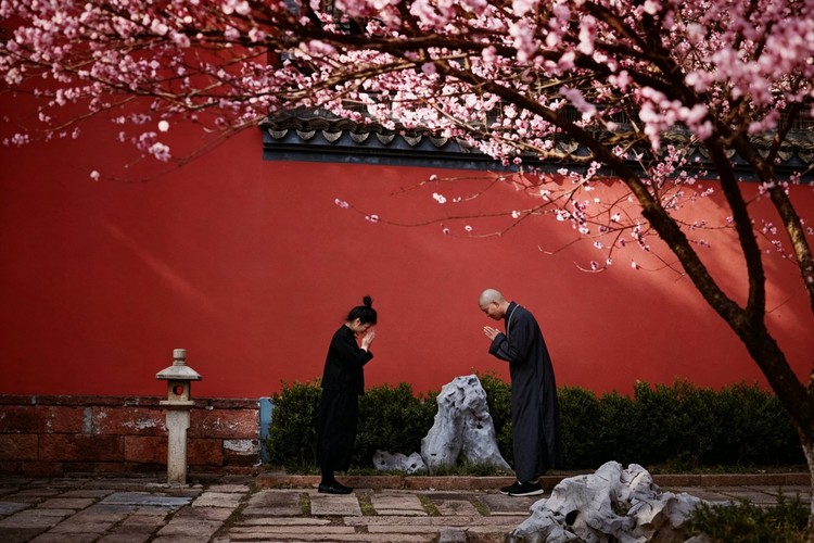 Temple Life in China: A Day with Buddhist Monks