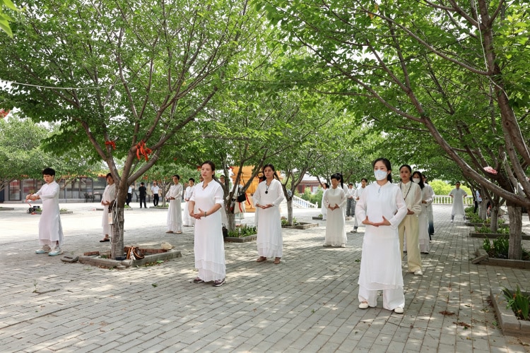 Authentic Tai Chi Experience in China | Traditional Movement & Wellness Culture