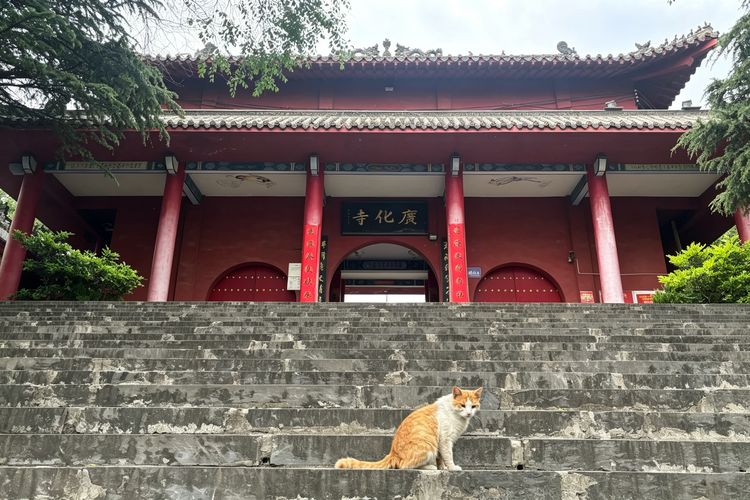 The Hidden Wisdom of Temple Architecture: Discovering Buddhist Space at Guanghua Temple