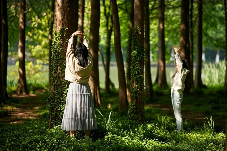 The Power of Silence: Silent Retreat and Zen Meditation Experience in China