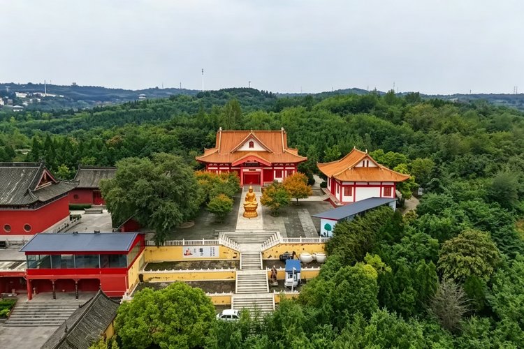 A Spiritual Journey Through Luoyang: Temples, Buddhist Heritage and Cultural Experiences in China