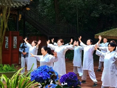 gongfu gongfu